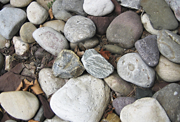 rocks