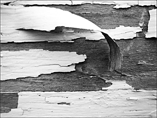 Peeling Paint