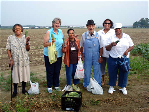 Bridgeville Seniors in cucumber field