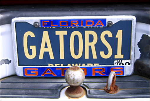 gator license plate