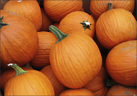 Pumpkins seen at a Walmart near Bridgeville DE.  Photo by E.W. Faircloth