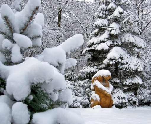 Snow and bunny.  Photo by Jon Falk