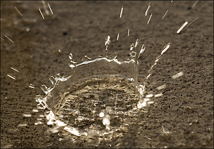 Drop of water. Photo by E.W. Faircloth