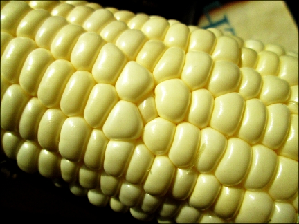 ear of corn