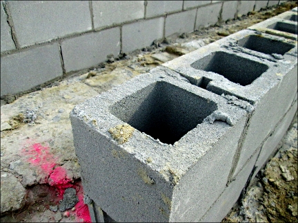 foundation