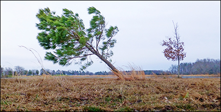 Photography by E.W. Faircloth.  Heritage Shores photographer, E.W. Faircloth, of Bridgeville DE.