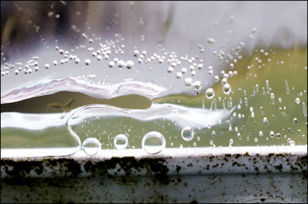 window ice