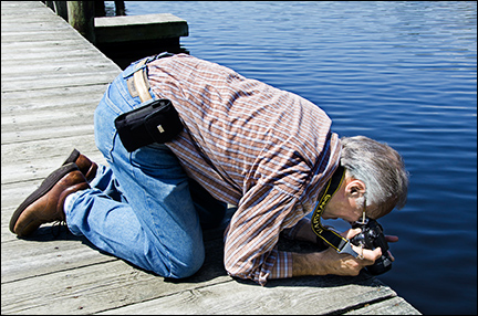 Photography by E.W. Faircloth